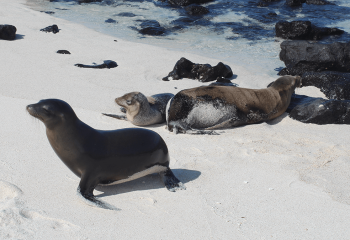 itinerario-a-4-1200x675